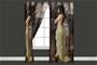 Art from PoseSpace.com goldgoddess curtains