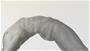 Art from PoseSpace.com Sinuosity