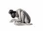 Art from PoseSpace.com Delicate